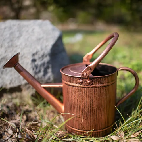Miniatura 7 de Regadera de 1 galón, regadera de cobre, lata de agua de metal con boquilla extraíble, lata de agua perfecta para plantas en interiores y exteriores