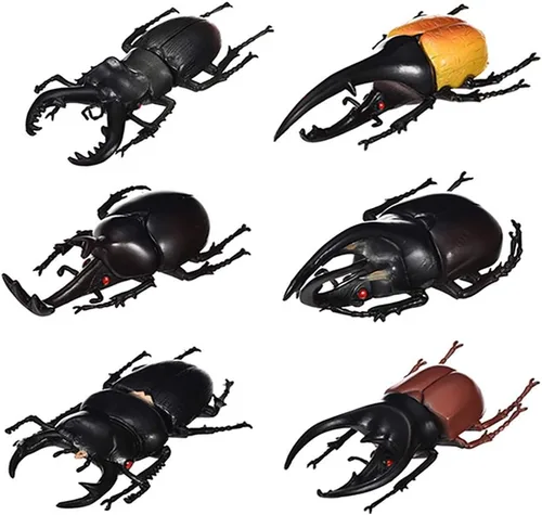 Paquete de 6 juguetes de modelo de escarabajo realistas, colección de figuras de insectos realistas falsas, juguetes educativos de aprendizaje para