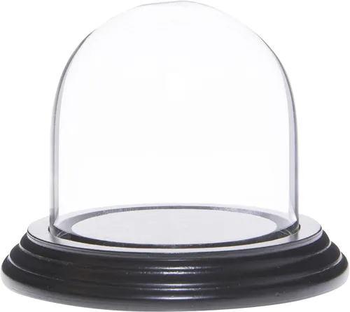 Miniatura 9 de Plymor Cúpula de exhibición de cristal de 3 "x 3" (base de chapa de caoba oscura)
