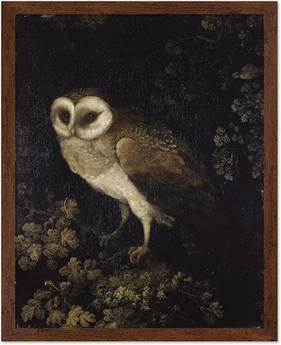 Miniatura 8 de Poster Master Póster vintage de búho – Impresión de pintura retro de búho – Arte Moody – Arte de pájaro – Gran regalo para hombres, mujeres, amantes