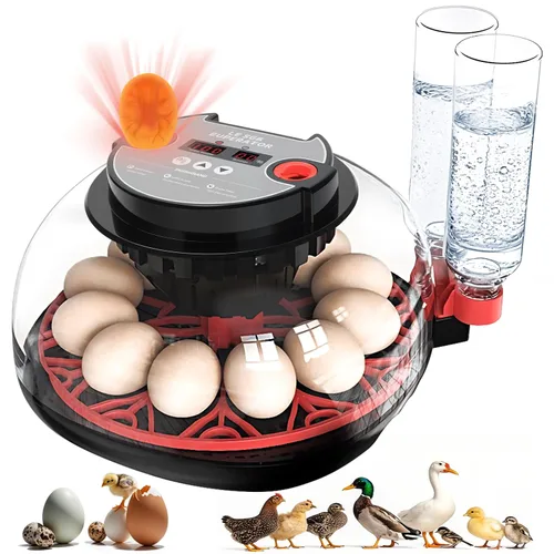 12 incubadoras de huevos para incubar huevos, incubadora automática de huevos con control de temperatura, control de humedad y pantalla para huevos