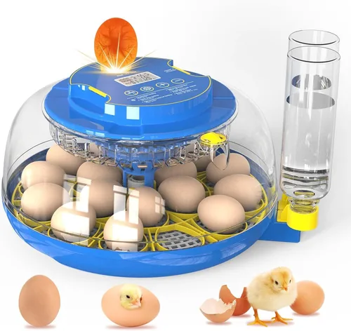 Incubadora para incubación de huevos-18 huevos con giro automático de huevos y control de humedad Vista de 360 ° Incubadora de Huevos, patos,