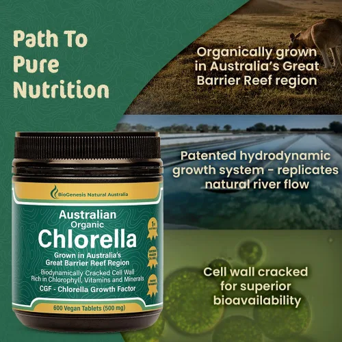 Miniatura 5 de Biogenesis Tabletas orgánicas de Chlorella – 600 unidades (500 mg) Cultivado en Australia Pared celular agrietada BioDynamic Rico