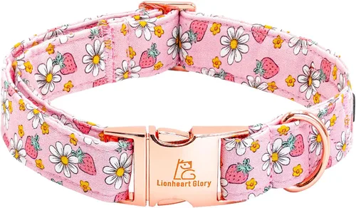 Miniatura 20 de Lionheart glory Collar de perro, Collar de perro azul Collar de perro para niños Collar ajustable de dinosaurio para perros pequeños Regalo