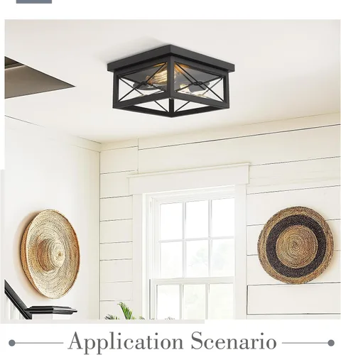 Miniatura 5 de Emliviar, lámpara de techo para interiores y exteriores, 0387B-CL