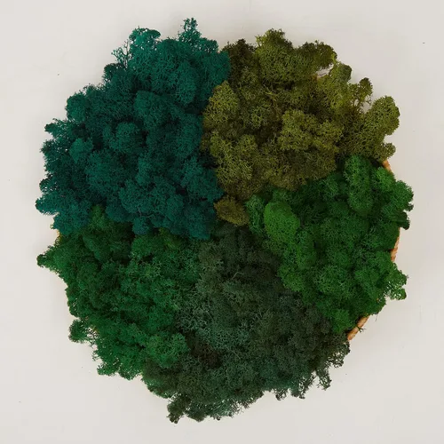 Miniatura 43 de Musgo de Reno Preservado Verde Natural Kit de Bricolaje Arte de Jardinería Decoración de Pared Decoración de Floristería Decoración de Mesa