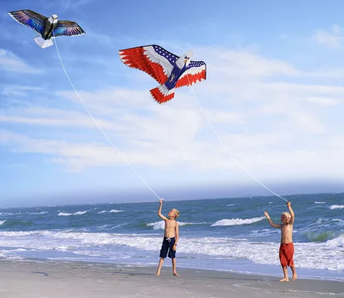 Miniatura 5 de HONBO Enormes cometas patrióticas de águila para adultos y niños, fáciles de volar para viajes a la playa, actividades al aire libre, línea