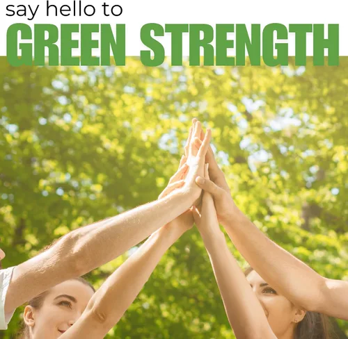 Miniatura 2 de Kaya Naturals Extracto de hoja de moringa, suplemento completo de superalimentos verdes, moringa de árbol milagroso puro, aumenta la energía