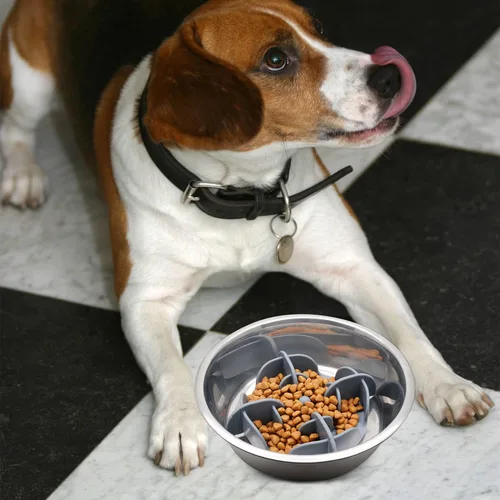 Miniatura 6 de Jaoul Inserto de alimentación lenta para perros pequeños, accesorio de alimentador de mascotas de silicona con divisores y ventosas, apto para Gris