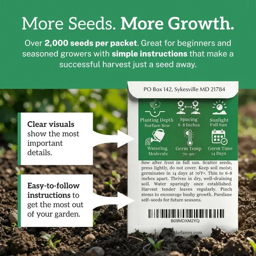 Miniatura 5 de TKE Farms & Gardens Semillas de Verdolaga para Plantar - Paquete de 1 Gramo, 2000+ Semillas Autóctonas sin OMG, Alta Germinación, Comestibles