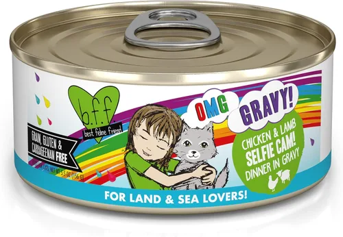 Miniatura 39 de Weruva B.F.F. OMG - Best Feline Friend Oh My Gravy!, Chicken Cloud 9 con pollo en salsa, lata de 2.8 onzas (paquete de 12)