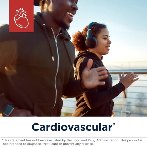 Miniatura 2 de Designs for Health Carnitine Synergy - 400 mg de L-carnitina (de tartrato de carnitina) + 100 mg de acetil L-carnitina píldoras - sin OMG +