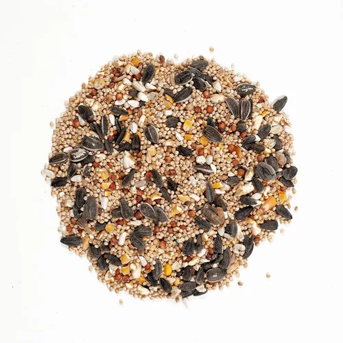 Miniatura 4 de Wagner's 62011 Eastern Regional Blend - Alimento para pájaros silvestres, bolsa de 8 libras y 57075 semillas de cártamo para aves silvestres, bolsa