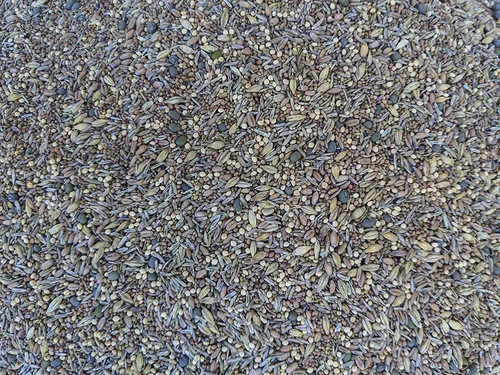 Miniatura 4 de Premium Pasto para Aves de Corral de Pollo y Forraje y Semillas de Forraje (Bolsa de 1 lb) - [33% cada uno: Tréboles, Suplemento, Granos]