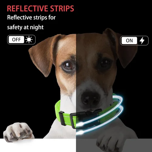 Miniatura 5 de Collar reflectante para perro con hebilla de bloqueo de seguridad, collares de nailon suaves y transpirables ajustables para perros pequeños, Verde