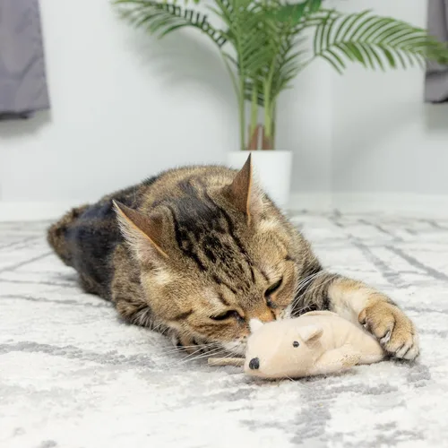 Miniatura 6 de SPOT Ratón Plano Frankie con Hierba Gatera - Juguetes para Gatos, Ratones de Peluche con Hierba Gatera y Sonido de Crujido, Tamaño Perfecto