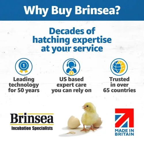 Miniatura 11 de Brinsea Ovation 28 EX Incubadora para incubar huevos con control automático de humedad - Incubadora de huevos de pollo totalmente automática