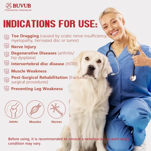 Miniatura 5 de Bota para nudillos caninos para perros con esfera ajustable para arrastrar los dedos de los pies por insuficiencia del nervio ciático, mielopatía