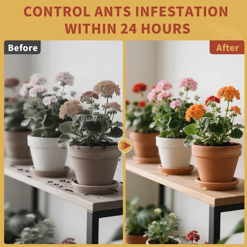 Miniatura 3 de Gel Antihormigas Listo para Usar para Interior y Exterior Control de Hormigas 30 Gramos