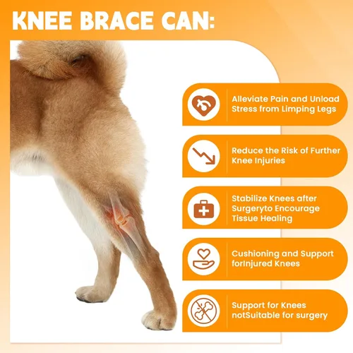 Miniatura 3 de Rodillera para perro para desgarro del ligamento cruzado anterior, soporte ajustable y transpirable para pierna trasera, material duradero para una