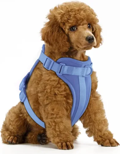 Miniatura 25 de Arnés ligero para perro sin tirones: arnés ajustable y duradero de malla transpirable con cojín suave y cómodo, para perros pequeños, medianos y Lila