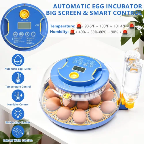 Miniatura 2 de Incubadoras para incubar huevos - Capacidad para 18 huevos, incubadora de huevos con giro automático de huevos y control de temperatura, incubadora
