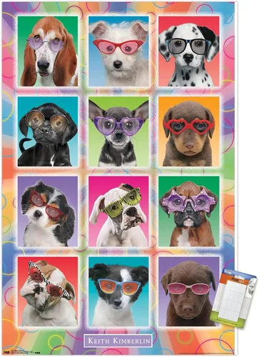 Miniatura 10 de Trends International Keith Kimberlin - Póster de pared con diseño de cachorros, gafas de sol, 14.725 x 22.375 pulgadas, versión enmarcada de madera