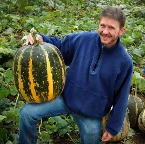Semillas de calabaza para plantar (10 semillas) - Semillas de calabaza, calabaza y calabaza exóticas y difíciles de encontrar - Semillas de huerto
