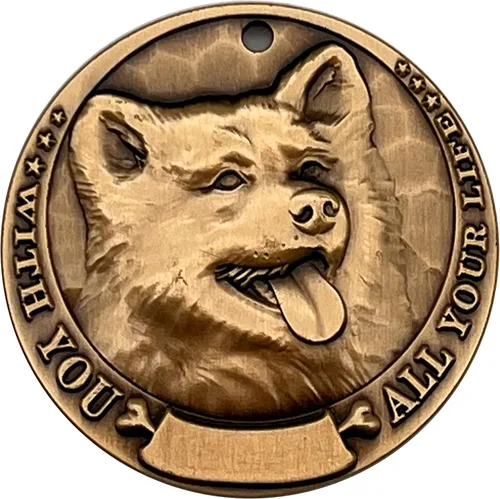 Etiqueta de identificación de cobre puro en relieve 3D para mascotas, etiquetas de nombre personalizadas grabadas, docenas originales de patrones de