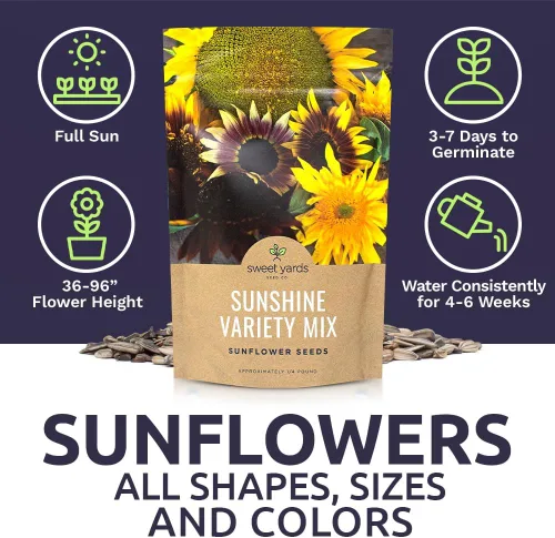 Miniatura 6 de Semillas de girasol a granel, variedad de 10 tipos de hermosos girasoles, bolsa de 1/4 de libra, semillas de girasol polinizadas abiertas