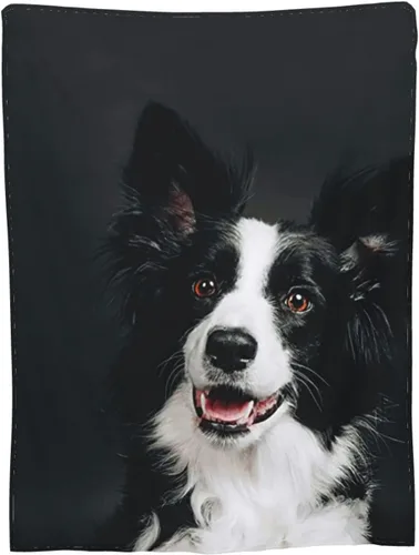 Miniatura 10 de Manta moderna de franela y felpa, manta con sonrisa de Border Collie para perros felices para un mejor sueño, manta de fácil cuidado para aire