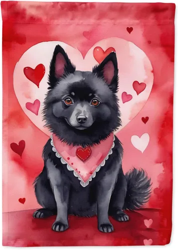 Miniatura 200 de Caroline's Treasures DAC5292CHF - Bandera de Border Collie My Valentine House para porche, grande, con manga para porche, para colgar en la pared