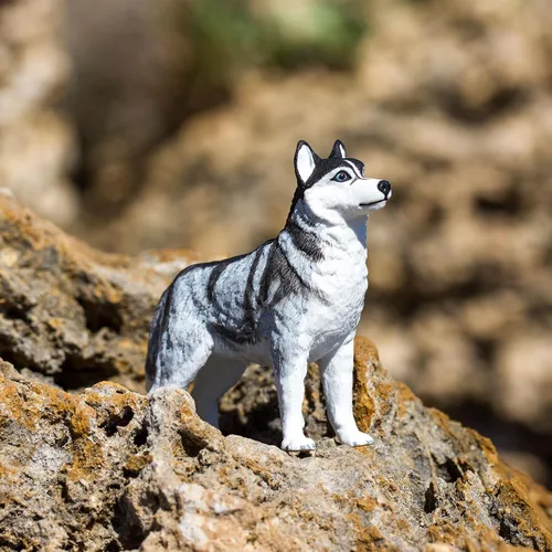 Miniatura 8 de Safari Ltd. Figura de Husky Siberiano – Figura detallada de plástico de 3.25 pulgadas – Divertido juguete educativo para niños, niñas y niños a