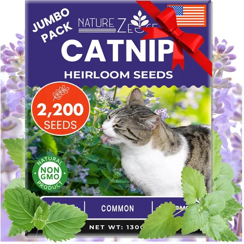 NatureZ Edge Semillas de Catnip para plantar, más de 2200 semillas de hierbas, para cultivar en interior o exterior, semillas de Catnip, a tu gato