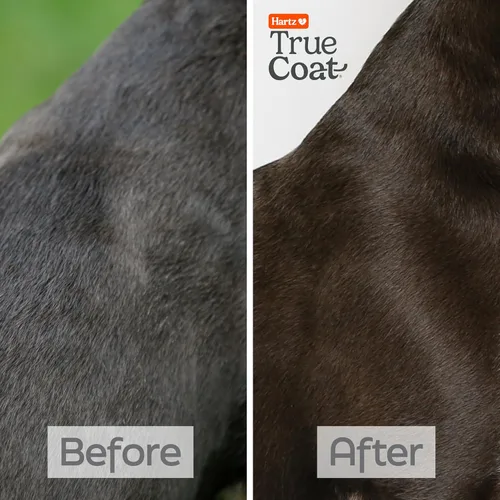 Miniatura 5 de True Coat Short & Smooth Coat - Champú para perros, 5 en 1, calma y brilla con leche de avena, aceite de coco y vitamina E, 16 onzas Corto y suave