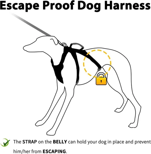 Miniatura 2 de Huntboo Arnés para perro a prueba de escapes, arnés reflectante con mango acolchado, transpirable, duradero, chaleco ajustable para perros medianos