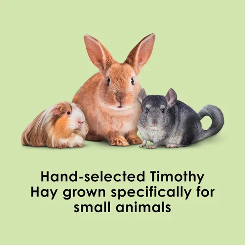 Miniatura 2 de Kaytee Heno Timothy, Alta Fibra, Crecido Específicamente para Animales Pequeños, Conejos, Cobayas, Chinchillas, 2 Libras