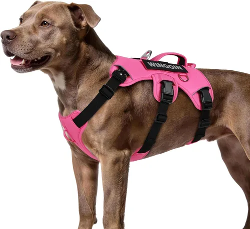 WINGOIN Arnés para perro a prueba de escapes, arnés sin tirones para perros medianos, arnés reflectante ajustable con clip frontal para mascotas,