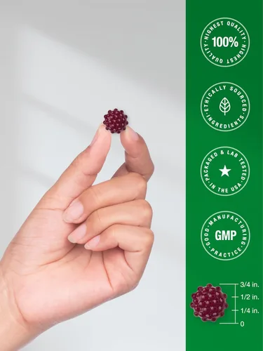 Miniatura 7 de Horbaach Gomitas de saúco negro 120 unidades Extracto de Sambucus con zinc y vitamina C Sabor a bayas Suplemento vegano, sin OMG y sin