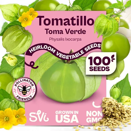 Miniatura 22 de SVI 550 semillas grandes de tomate cereza roja (Solanum lycoperscium) - Paquetes de semillas de tomates cherry, mini tomates en la vid - Semillas