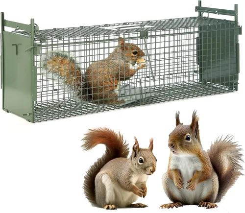 Trampas para animales vivos de 26 pulgadas para gatos callejeros de hasta 5.5 libras, mapaches, ardilla, zorrilla, topo, marmota, armadillo, conejo,