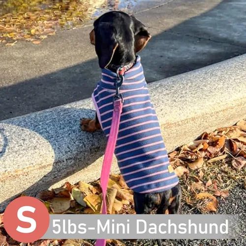 Miniatura 6 de KYEESE Paquete de 2 suéteres para perro, abrigo para mascotas, cuello alto, ropa elástica para perros, suéteres súper suaves para perros pequeños