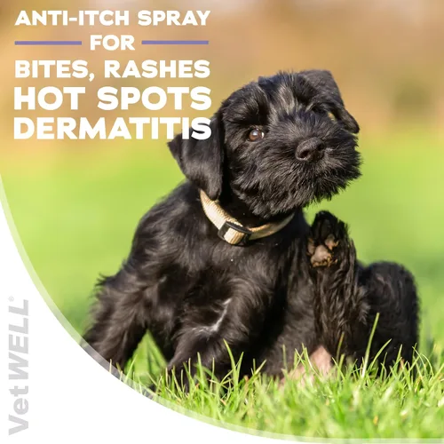 Miniatura 3 de VetWELL Spray de hidrocortisona para perros y gatos – Alivio de picazón en la piel de puntos calientes, picaduras, rasguños, piel irritada