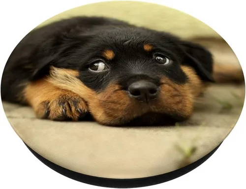 Miniatura 2 de Rottweiler – Enchufe para cachorros – Gancho y soporte para teléfonos y tabletas, Negro