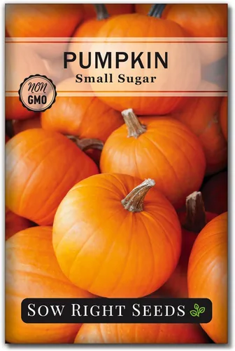 Sow Right Seeds - Semilla pequeña de calabaza de azúcar para plantar - Paquete de reliquia sin OMG con instrucciones para plantar un huerto casero -