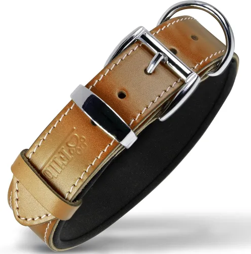Miniatura 18 de Filbert Collar de cuero para perro, collar de cuero genuino para perros pequeños, estampado de patas en relieve con hebilla, grano completo curtido