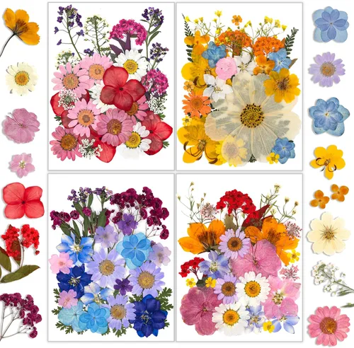 Miniatura 8 de Flores Secas, Resiners 58 Piezas Flores Prensadas para Manualidades Rosa Flores Secas Naturales Reales Kit de Hojas Secas para DIY Hacer