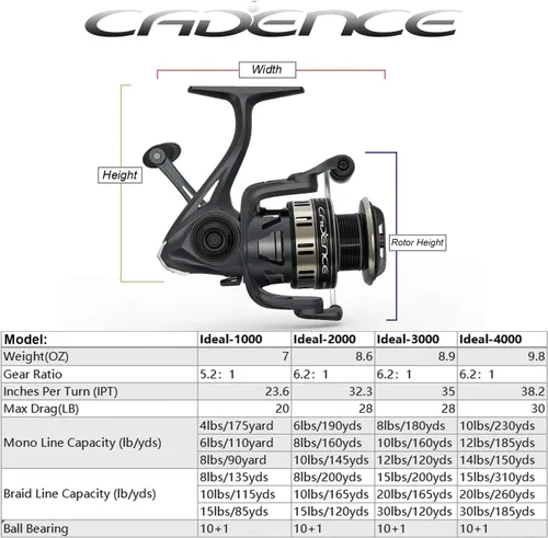 Miniatura 5 de Cadence - Carrete giratorio ideal 2024, carrete de pesca súper suave con 10 + 1 BB para agua dulce, duradero y potente carrete con 30 libras
