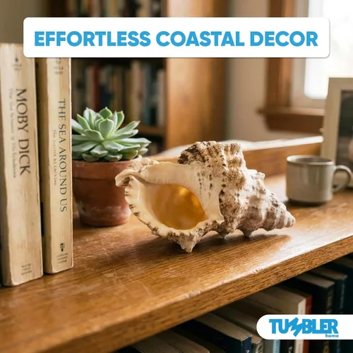 Miniatura 4 de Tumbler Home Conchas marinas grandes para decoración o pecera, decoración costera y náutica, soporte para plantas de aire, adornos de acuario
