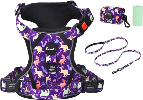 Miniatura 26 de Petmolico Juego de arnés para perro sin tirones con accesorio de correa, asa de fácil control, chaleco reflectante para razas pequeñas, chaleco